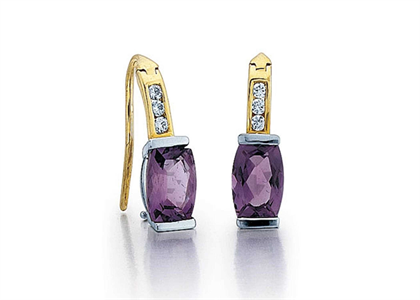 Two Tone Plated CZ Studded Gemstone Earring